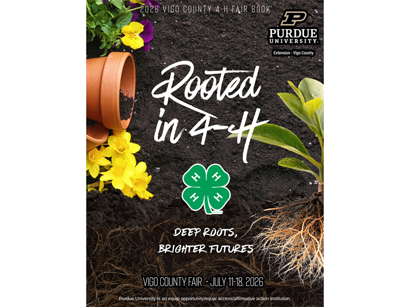 Logo for 2026 Vigo County Fair